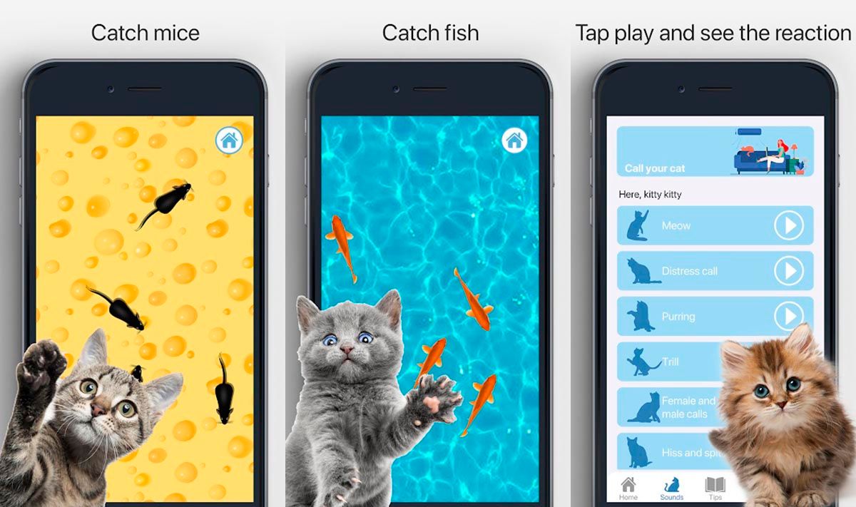 Juegos Para Gatos En El Celular